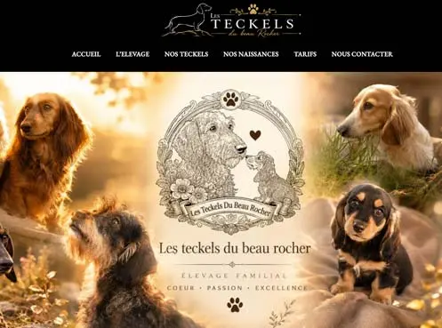 teckels-du-beau-rocher